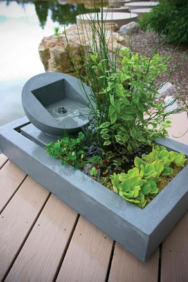 Jardin Aquatique En Pot -Une Petite Oasis À Mettre Au concernant Jardin Zen Miniature Avec Fontaine