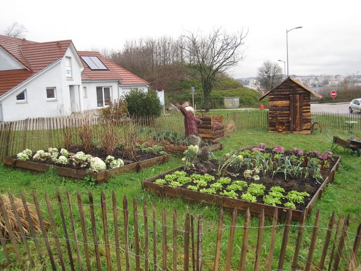 Jardin Potager — Wikipédia serapportantà Comment Clôturer Son Jardin