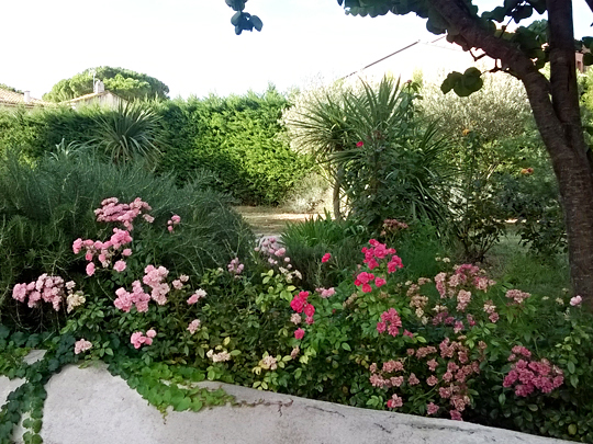 Le Jardin Du Sud, Ou Jardin Méditerranéen, Un Jardin Bien tout Jardin Du Sud