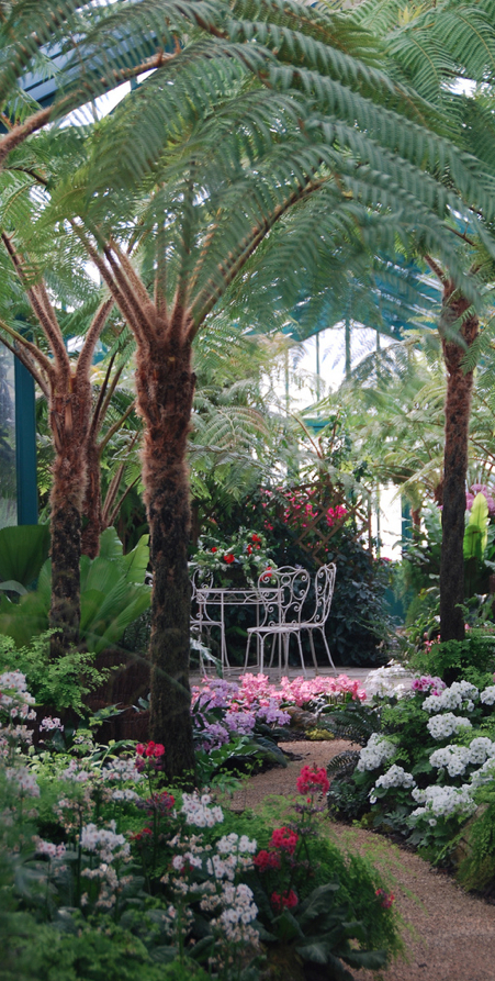 Le Petit Jardin Tropical (Serres Royales De Laken intérieur Le Petit Jardin