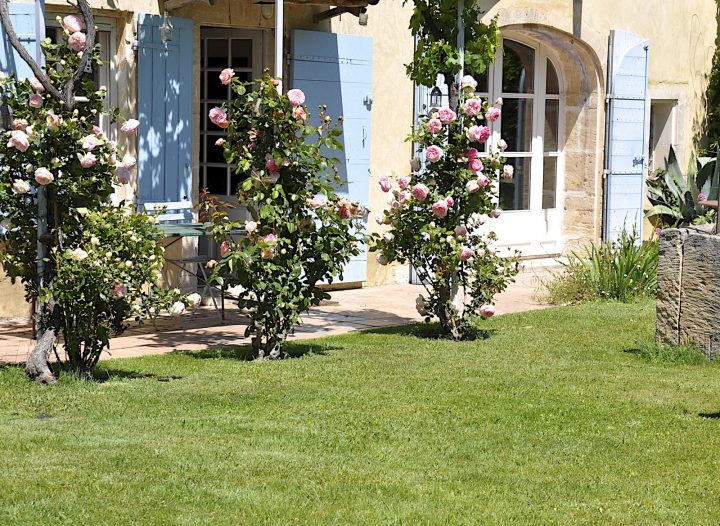 Manon 21: Le Petit Jardin Du Mas Bleu serapportantà Le Petit Jardin