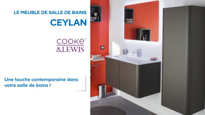 Meuble De Salle De Bains Ceylan Cooke & Lewis (648690 tout Meuble De Salle De Bain Ixina