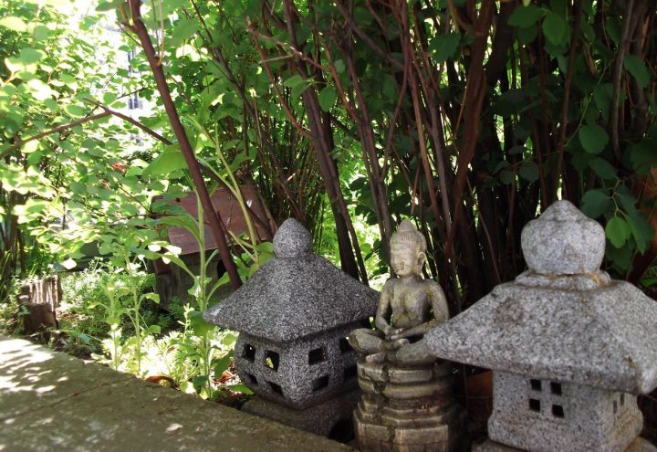 Mini Jardin Zen Japonais – Ikimashoo intérieur Jardin Zen Miniature Avec Fontaine