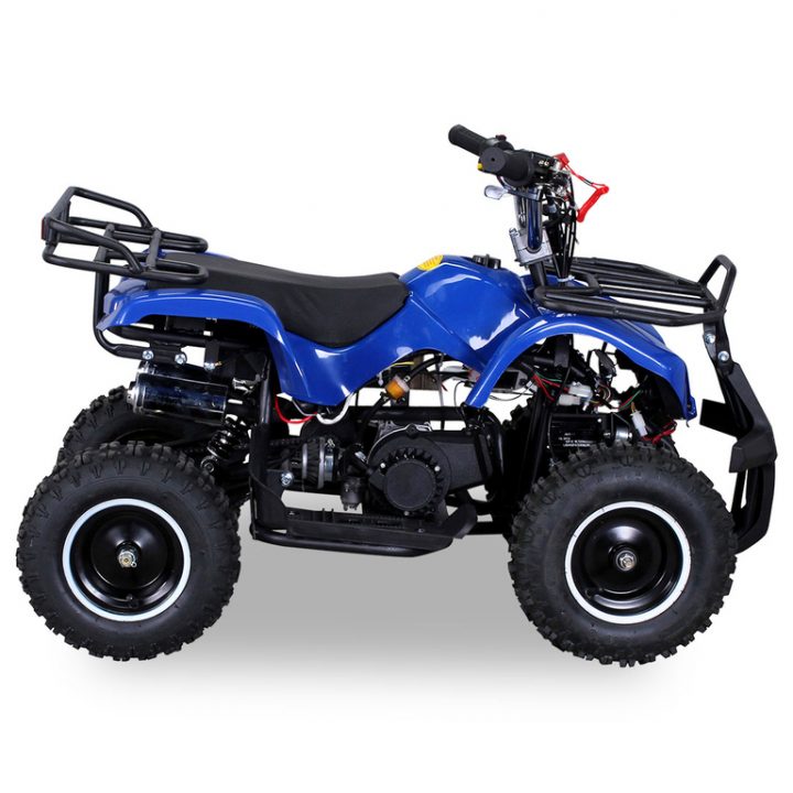 Miniquad Torino 49 Cc E-Start Demarreur Electrique Couleur pour Quad Enfant Thermique