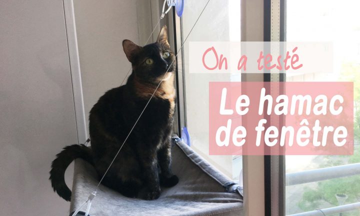 On A Testé Le Hamac De Fenêtre – Je Griffe Donc Je Suis destiné Hamac Fenêtre Pour Chat Gifi