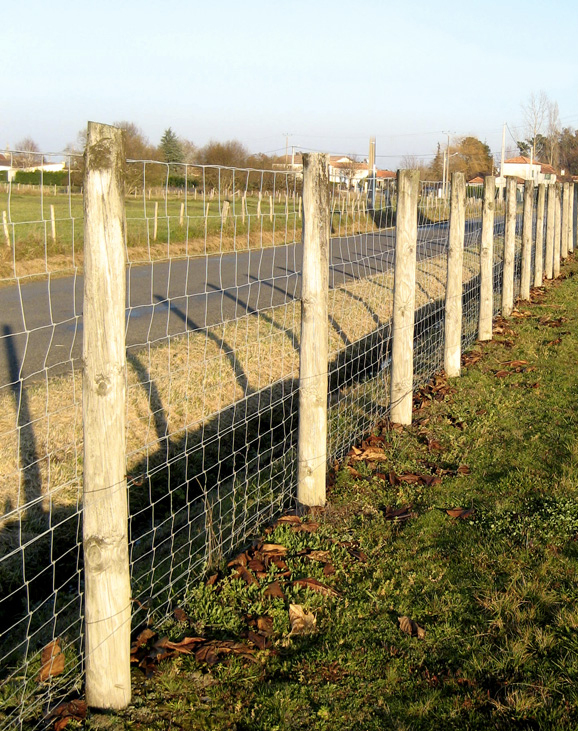 Piquet Clôture Bois Landes destiné Clôture Pas Chère