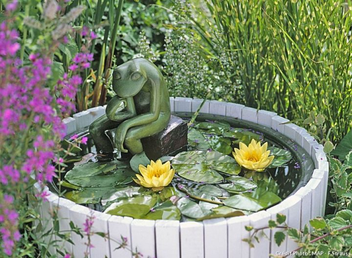 Planter Des Aquatiques : Mode D’emploi | Jardin D'Eau à Jardin Zen Miniature Avec Fontaine