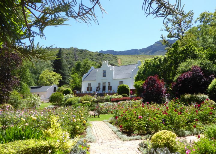 Province Du Cap : L’afrique Du Sud, Côté Jardin destiné Jardin Du Sud