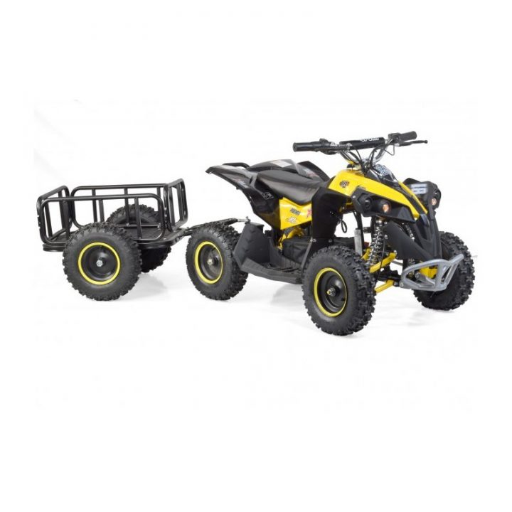 Quad Électrique Enfant Renegade 1000W pour Quad Enfant Thermique