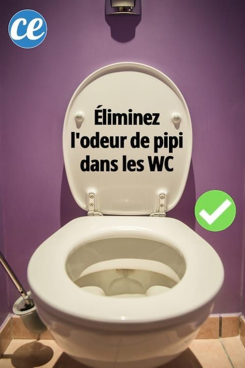 10 Astuces Pour Des Wc Toujours Impeccables Qui Sentent à Nettoyer Ses Toilettes