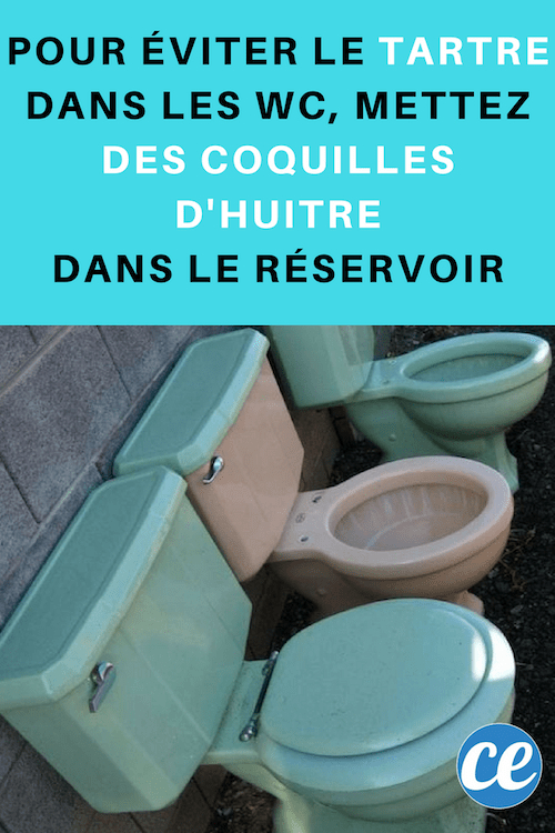 7 Astuces Simples Et Efficaces Contre Le Tartre Dans Les avec Nettoyer Les Toilettes