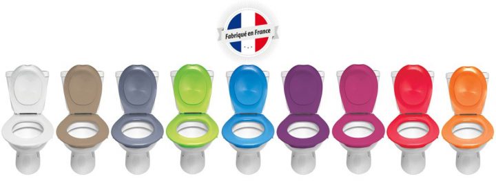 Amovible Et Colorée, Une Lunette De Toilettes Hygiénique encequiconcerne Lunette Des Toilettes