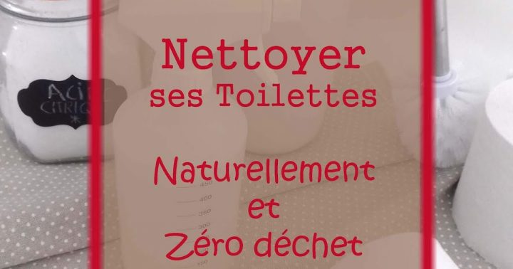 Bio'Tiful Family: Nettoyer Ses Toilettes Naturellement Et pour Nettoyer Ses Toilettes