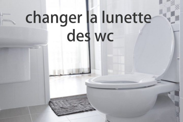 Changer La Lunette Des Wc – Astuces Pratiques dedans Lunettes De Toilettes