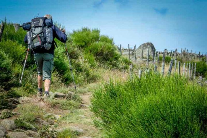 Chemin De Compostelle Le Puy Figeac Gr 65 – Haute-Loire avec Chemin De Compostelle Le Puy