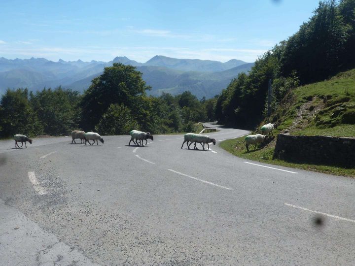 Chemin De Compostelle : Site Touristique Le Puy En Velay à Chemin De Compostelle Puy En Velay