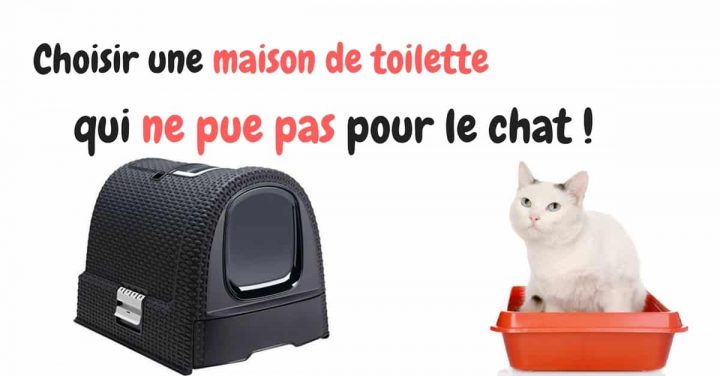 Choisir La Maison De Toilette Du Chat – Comparatif encequiconcerne Maison De Toilette Pour Chat Curver