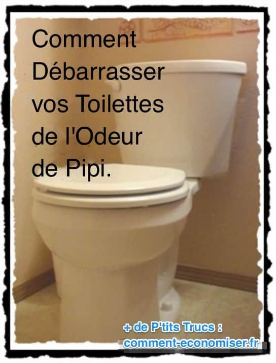 Comment Débarrasser Vos Toilettes De L'Odeur De Pipi intérieur Nettoyer Ses Toilettes