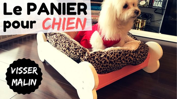 Comment Fabriquer Un Panier Pour Chien (Lit Pour Chien intérieur Comment Toiletter Un Chien