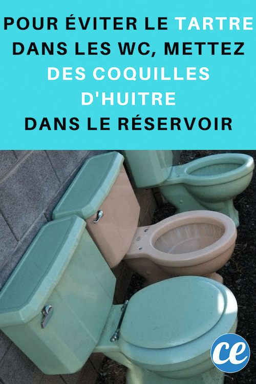 Comment J'Enlève Le Calcaire Des Toilettes Avec Des encequiconcerne Comment Nettoyer Les Toilettes