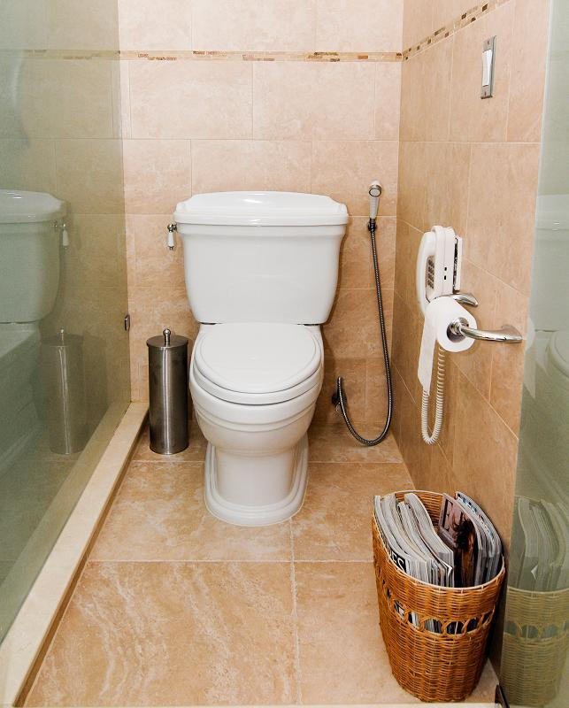 Comment Nettoyer Les Toilettes – 6 Étapes à Blanchir Les Toilettes