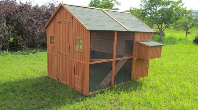 Construire Un Poulailler : Tous Nos Conseils – Côté Maison destiné Chemin Du Poulailler