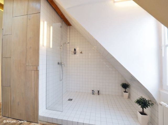 Découvrez Ce Petit Appartement Bien Organisé | Douche avec Douche Sous Les Combles