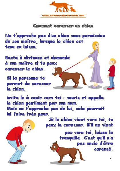 Diapositive1 | Univers-Cité Du Chien (Université Du Chien) encequiconcerne Comment Toiletter Un Chien