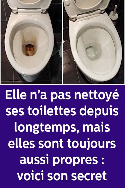 Elle N’a Pas Nettoyé Ses Toilettes Depuis Longtemps, Mais à Nettoyer Ses Toilettes