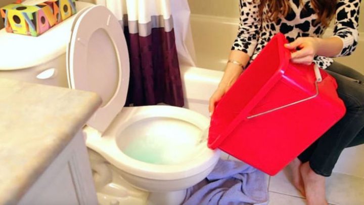 Elle Verse Un Seau D’eau Chaude Dans Les Toilettes. Quel destiné Toilette Bouchée