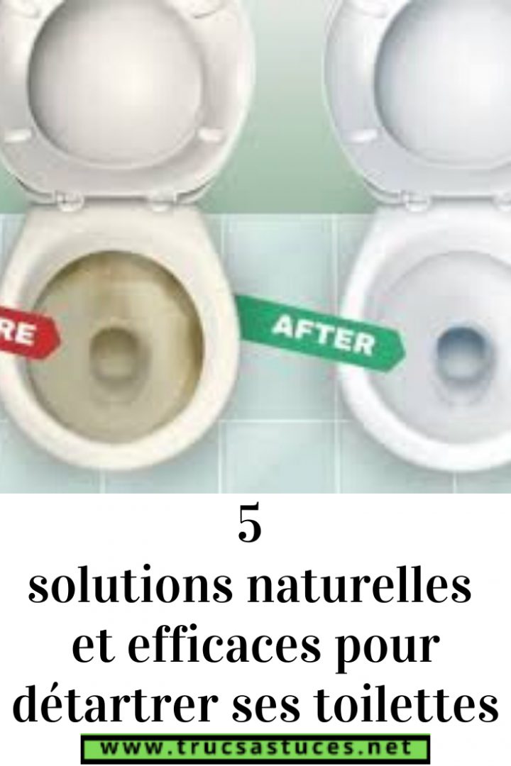 Épinglé Sur Maisons avec Detartrer Toilette