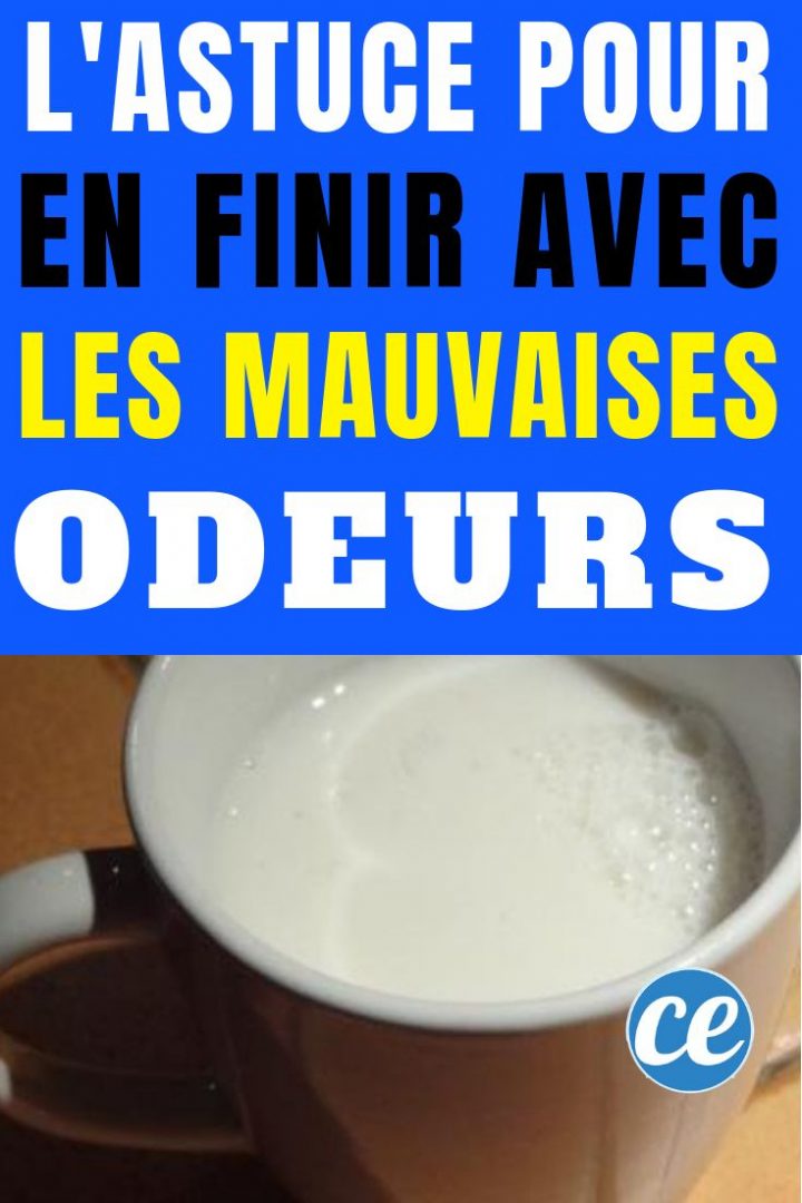 Fini Les Mauvaises Odeurs Dans La Maison Avec Des avec Mauvaise Odeur Toilettes Maison