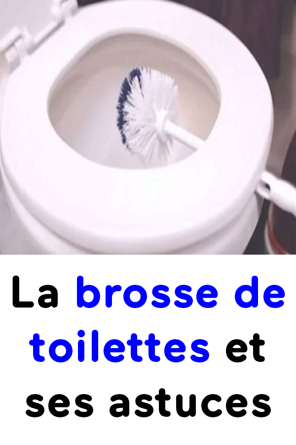 La Brosse De Toilettes Et Ses Astuces | Brosse Toilette avec Nettoyer Ses Toilettes