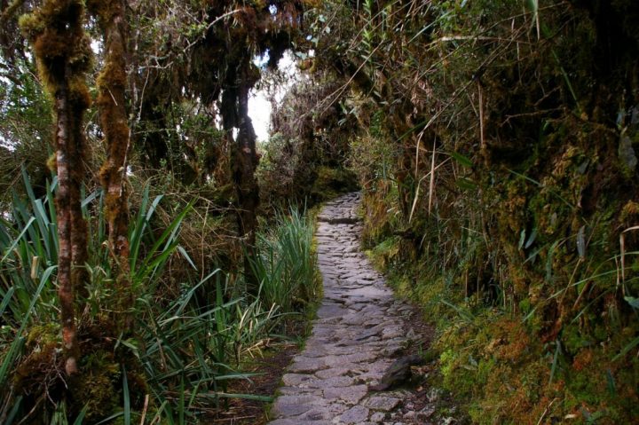 Le Chemin De L'Inca, Du Km 82 Au Site De Machu Picchu tout Chemin De L Inca Au Machu Picchu