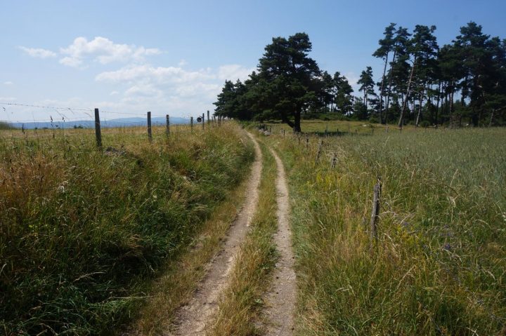 Le Chemin De Saint Jacques De Compostelle, Du Puy En Velay concernant Chemin De Randonnée Puy De Dome