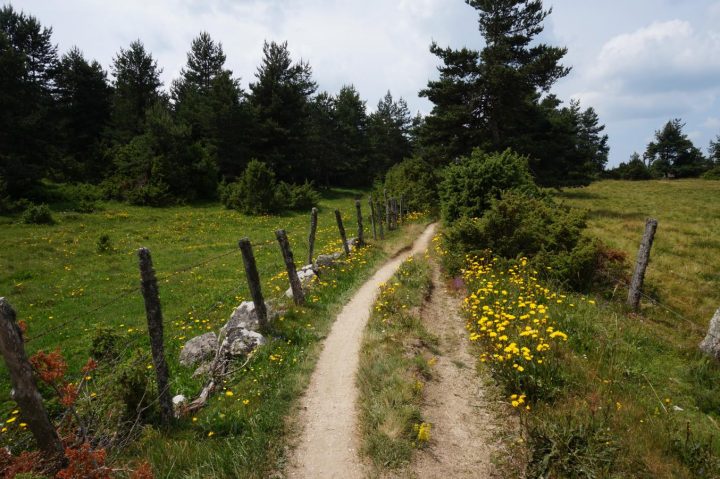 Le Chemin De Saint Jacques De Compostelle, Du Puy En Velay encequiconcerne Chemin De Compostelle Puy En Velay