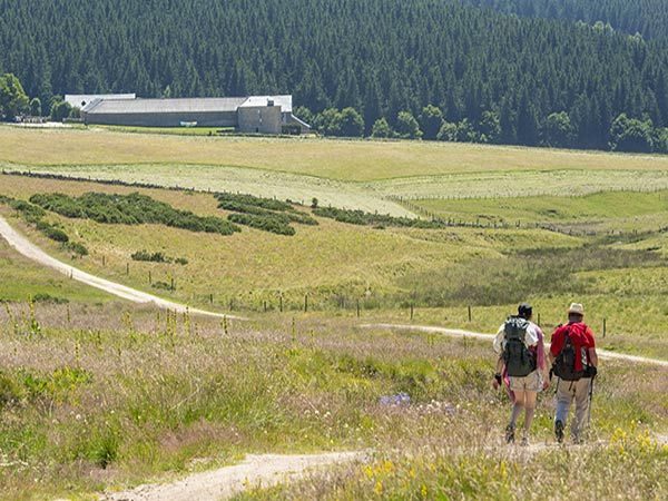 Le Chemin De Stevenson – L'Office De Tourisme De L à Chemin De Stevenson Hébergement