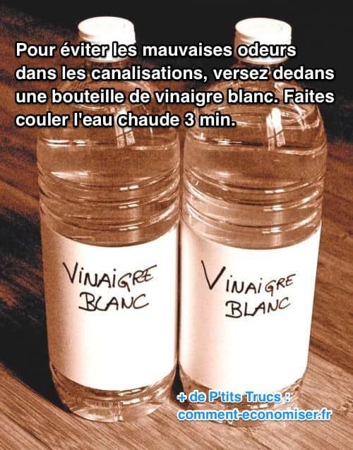 Le Truc Efficace Pour Chasser Les Mauvaises Odeurs De serapportantà Mauvaise Odeur Toilettes Maison