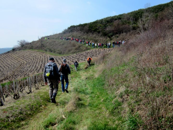 Les Chemins De Saint-Jacques De Compostelle De Cluny Au intérieur Chemin De Compostelle Le Puy