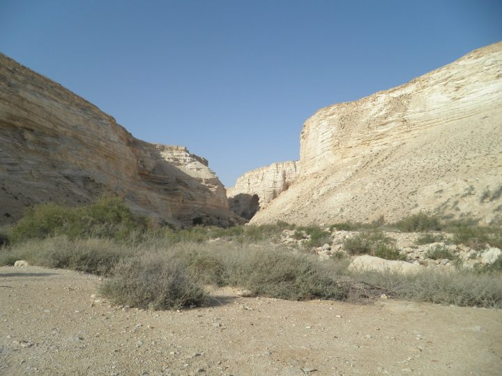 Mercredi Des Cendres avec Chemin Jeunant