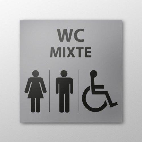 Panneau Relief Et Braille Wc Mixte + Picto Handicapé En à Hauteur Toilette Handicapé