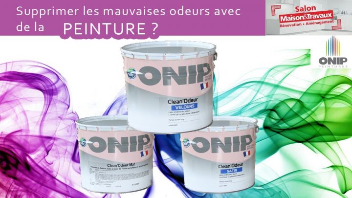 Peinture Anti Mauvaises Odeurs Onip – Salon Maison Et encequiconcerne Mauvaise Odeur Toilettes Maison