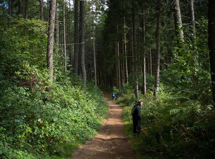 Randonnée Au Puy De Dôme Par Le Sentier Des Chèvres | La à Chemin De Randonnée Puy De Dome