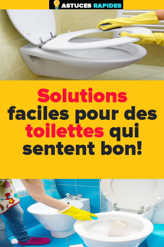 Solutions Faciles Pour Des Toilettes Qui Sentent Bon intérieur Mauvaise Odeur Toilettes Maison