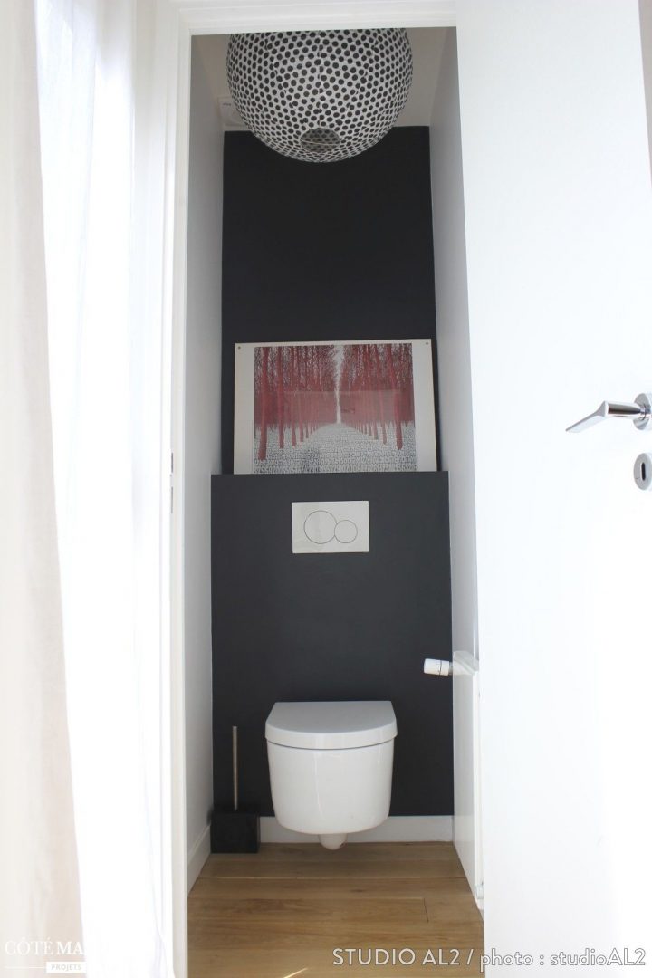 Toilettes Blanches Au Mur Noir. 1 Seul Tableau Décoratif intérieur Medicament Pour Aller Au Toilette