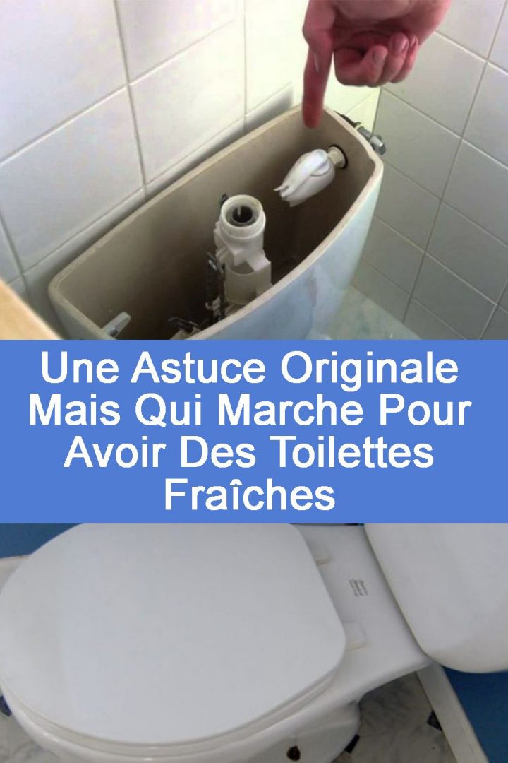 Une Astuce Originale Mais Qui Marche Pour Avoir Des dedans Nettoyer Les Toilettes