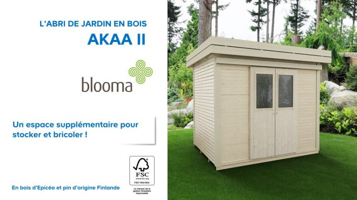 Abri De Jardin En Bois Akaa Blooma (676229) Castorama destiné Gouttière Abri De Jardin Castorama