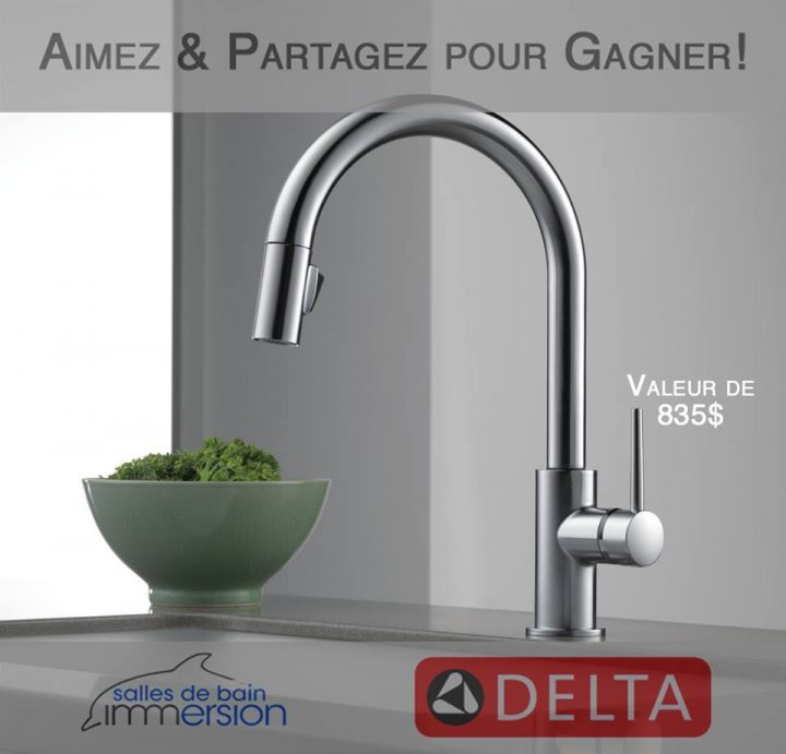 Concours : Gagnez Un Robinet Delta Trinsic De 835 pour Canadian Tire Robinet Salle De Bain