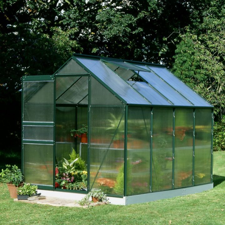 Serre De Jardin 5M² Verte En Polycarbonate 4Mm Popular Halls avec Serre De Jardin Bricomarché