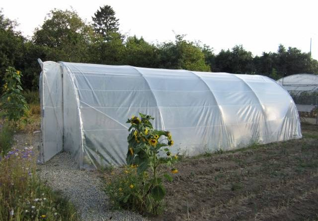 Serre Tunnel Occasion A Vendre – Young Planneur encequiconcerne Serre Filclair Occasion